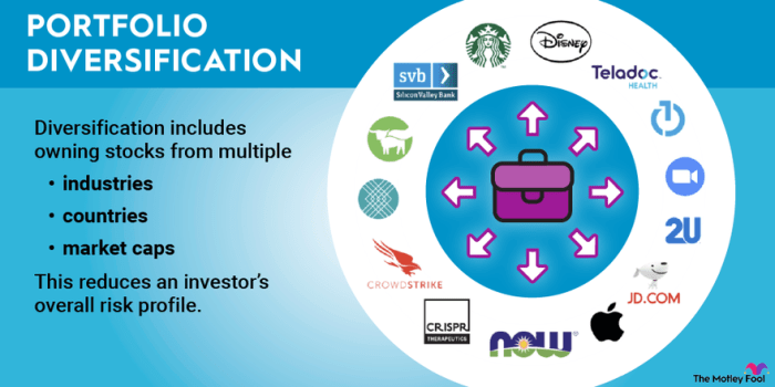 Investment diversification fundamentals investments